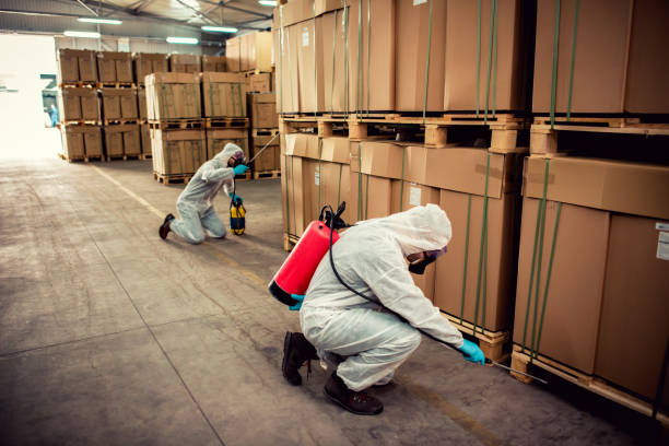Pest Prevention Services in Golden Valley, MN