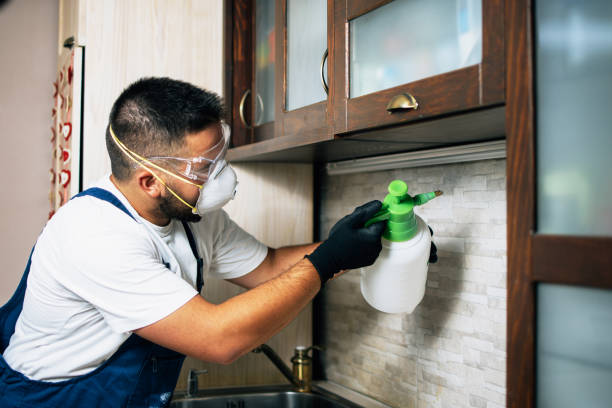 Best Pest Control Near Me  in Golden Valley, MN