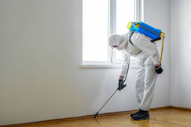 Best Wasp Removal Services  in Golden Valley, MN