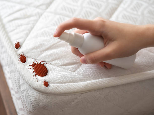 Best Best Pest Control Companies  in Golden Valley, MN